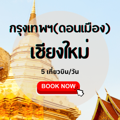 เที่ยวบิน (ดอนเมือง - เชียงใหม่)