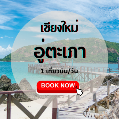 เที่ยวบิน (เชียงใหม่ - อู่ตะเภา)