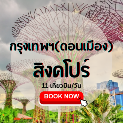 เที่ยวบิน (ดอนเมือง-สิงคโปร์)