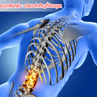 กระดูกสันหลัง : อวัยวะสำคัญที่ต้องดูแล