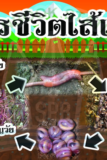 วงจรชีวิตไส้เดือน /วรา