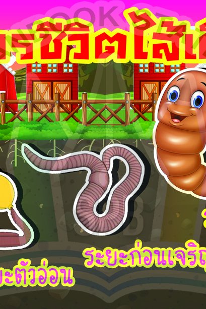 วงจรชีวิตไส้เดือน /วรา