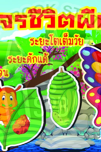 วงจรชีวิตผีเสื้อ /วรา