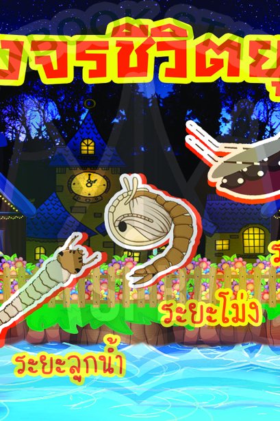 วงจรชีวิตยุง /วรา