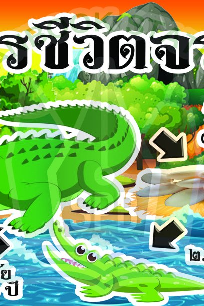 วงจรชีวิตจระเข้ /วรา