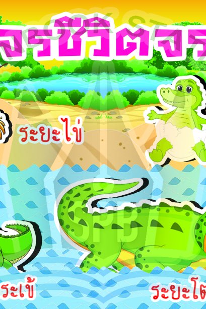 วงจรชีวิตจระเข้ /วรา