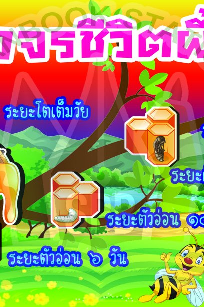 วงจรชีวิตผึ้ง /วรา