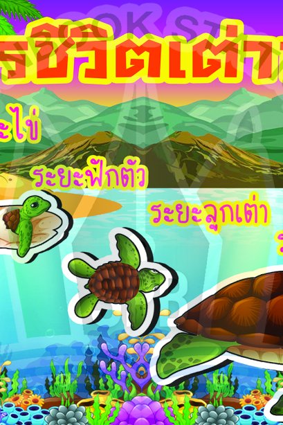 วงจรชีวิตเต่าทะเล /วรา