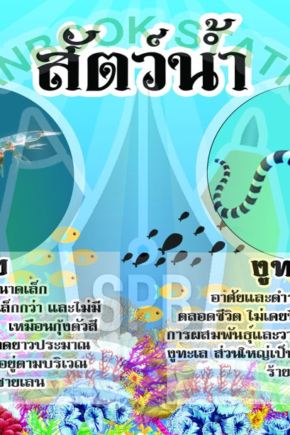 สัตว์น้ำ /วรา