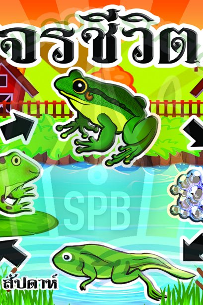 วงจรชีวิตกบ /วรา