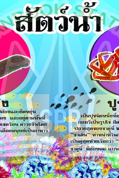 สัตว์น้ำ /วรา