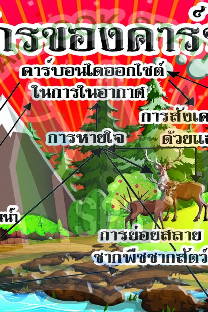 วัฏจักรของคาร์บอน /วรา