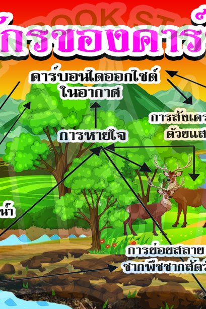 วัฏจักรของคาร์บอน /วรา