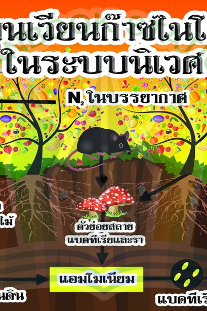 หารหมุนเวียนก๊าซไนโตรเจนในระบบนิเวศ /วรา