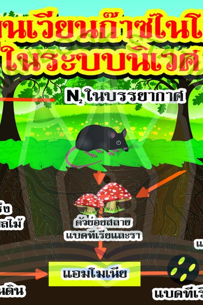 หารหมุนเวียนก๊าซไนโตรเจนในระบบนิเวศ /วรา