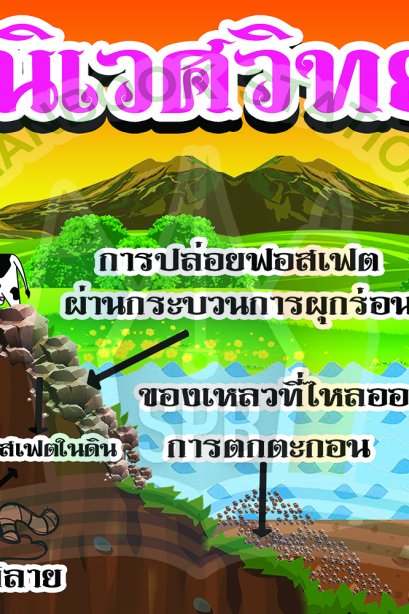 นิเวศวิทยา /วรา