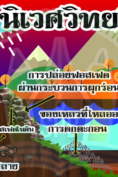 นิเวศวิทยา /วรา