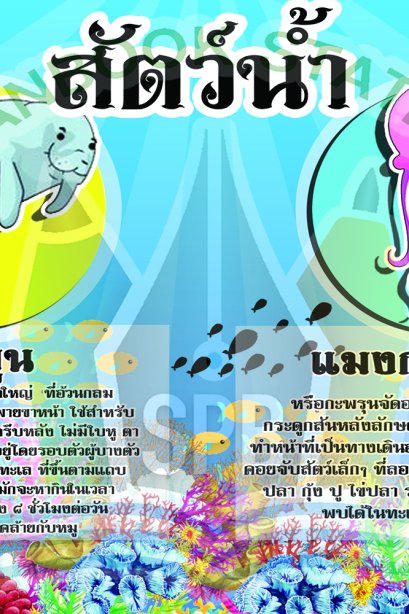 สัตว์น้ำ /วรา