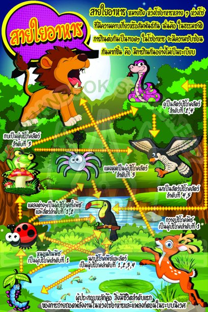 สายใยอาหาร /วรา