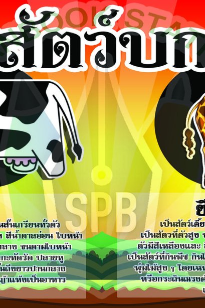 สัตว์บก /วรา