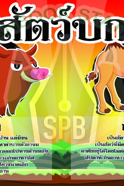 สัตว์บก /วรา