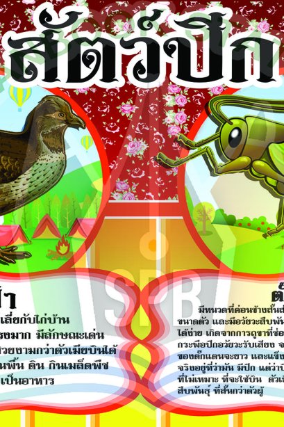 สัตว์ปีก /วรา