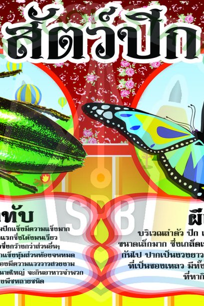 สัตว์ปีก /วรา