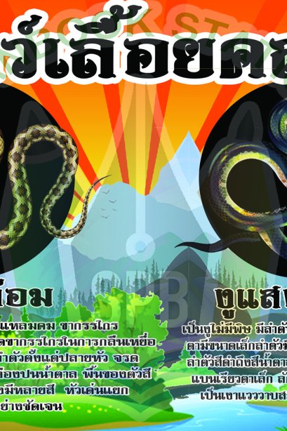 สัตว์เลื้อยคลาน /วรา