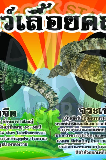 สัตว์เลื้อยคลาน /วรา