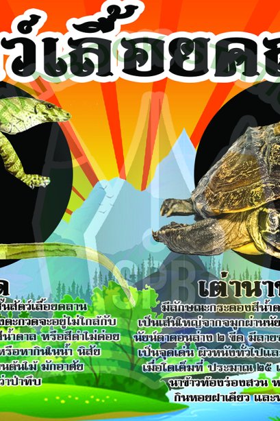 สัตว์เลื้อยคลาน /วรา