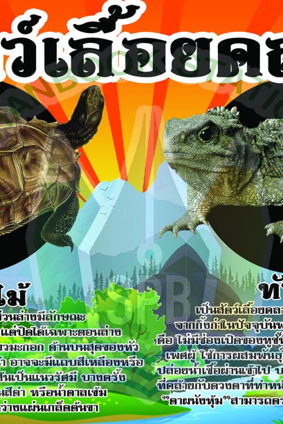 สัตว์เลื้อยคลาน /วรา