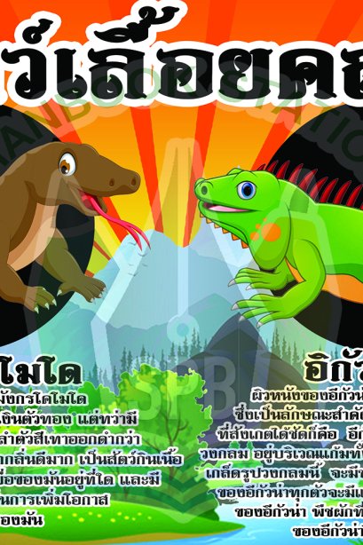 สัตว์เลื้อยคลาน /วรา