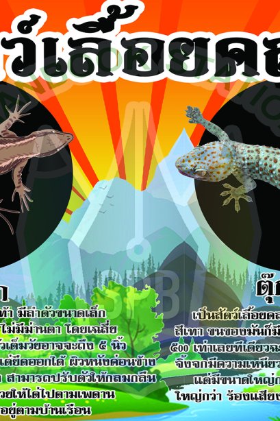 สัตว์เลื้อยคลาน /วรา