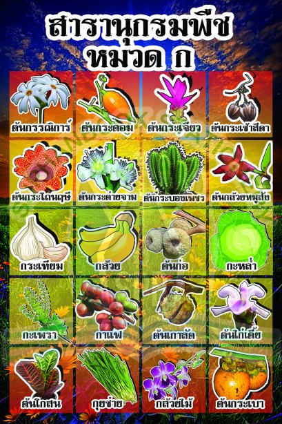 สารานุกรมพืช หมวด ก /วรา