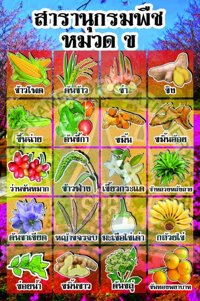 สารานุกรมพืช หมวด ข /วรา