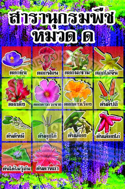 สารานุกรมพืช หมวด ด /วรา