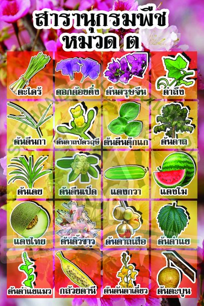 สารานุกรมพืช หมวด ต /วรา