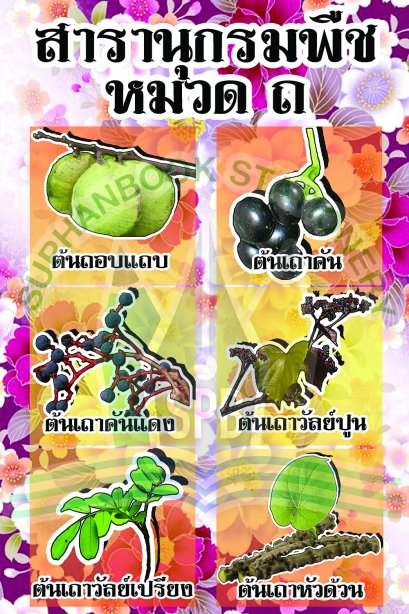 สารานุกรมพืช หมวด ถ /วรา