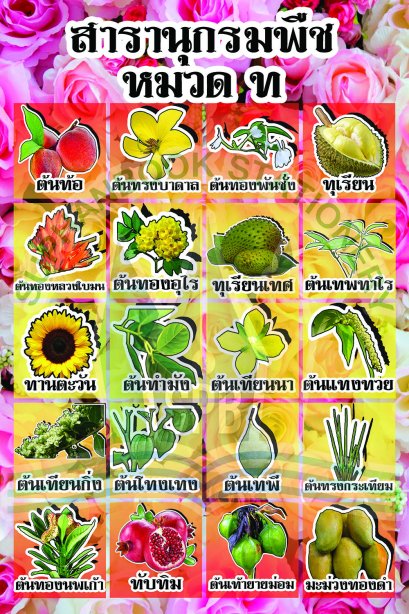 สารานุกรมพืช หมวด ท /วรา