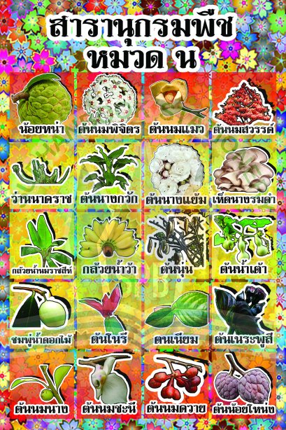 สารานุกรมพืช หมวด น /วรา