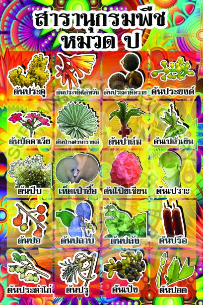 สารานุกรมพืช หมวด ป /วรา