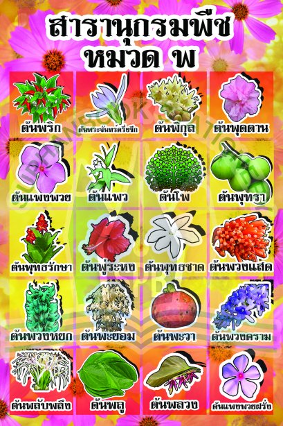 สารานุกรมพืช หมวด พ /วรา