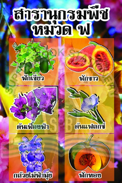 สารานุกรมพืช หมวด ฟ /วรา