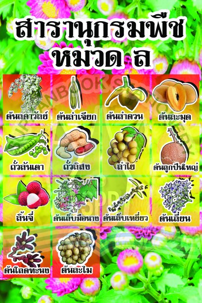 สารานุกรมพืช หมวด ล /วรา