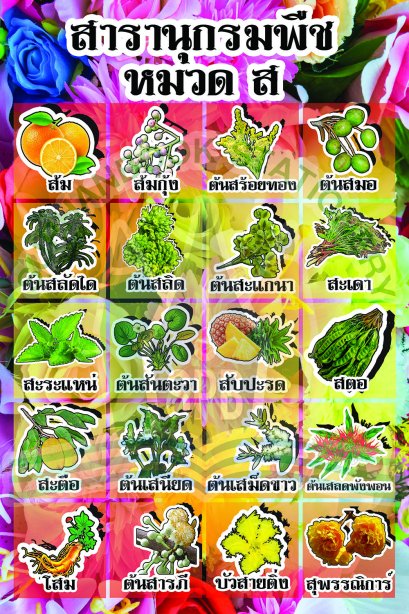 สารานุกรมพืช หมวด ส /วรา