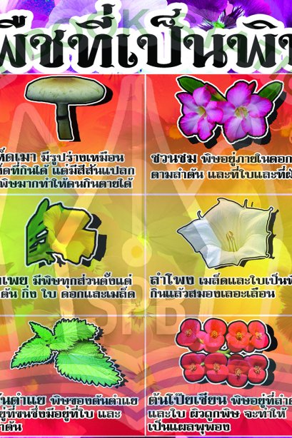 พืชที่เป็นพิษ /วรา