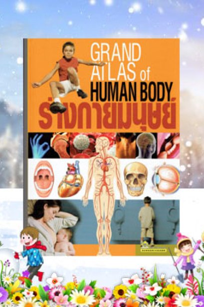 ร่างกายมนุษย์