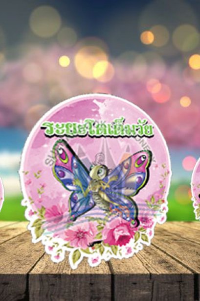 สื่อการเรียนการสอนลองโฟม ชุด วงจรชีวิตผีเสื้อ ชุด1/วรา