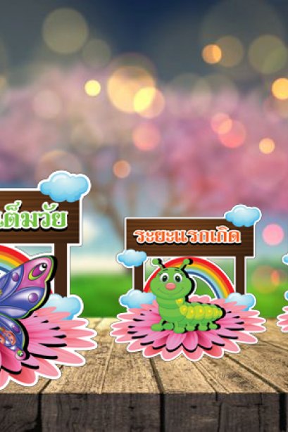 สื่อการเรียนการสอนลองโฟม ชุด วงจรชีวิตผีเสื้อ ชุด 2/วรา