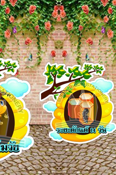 สื่อการเรียนการสอนลองโฟม ชุด วงจรชีวิตผึ้ง ชุด 2/วรา